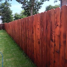 Redwood-Stain-job-on-a-brand-new-Cedar-fence 4