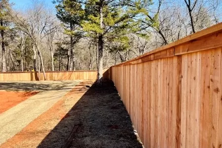 Wood Fence